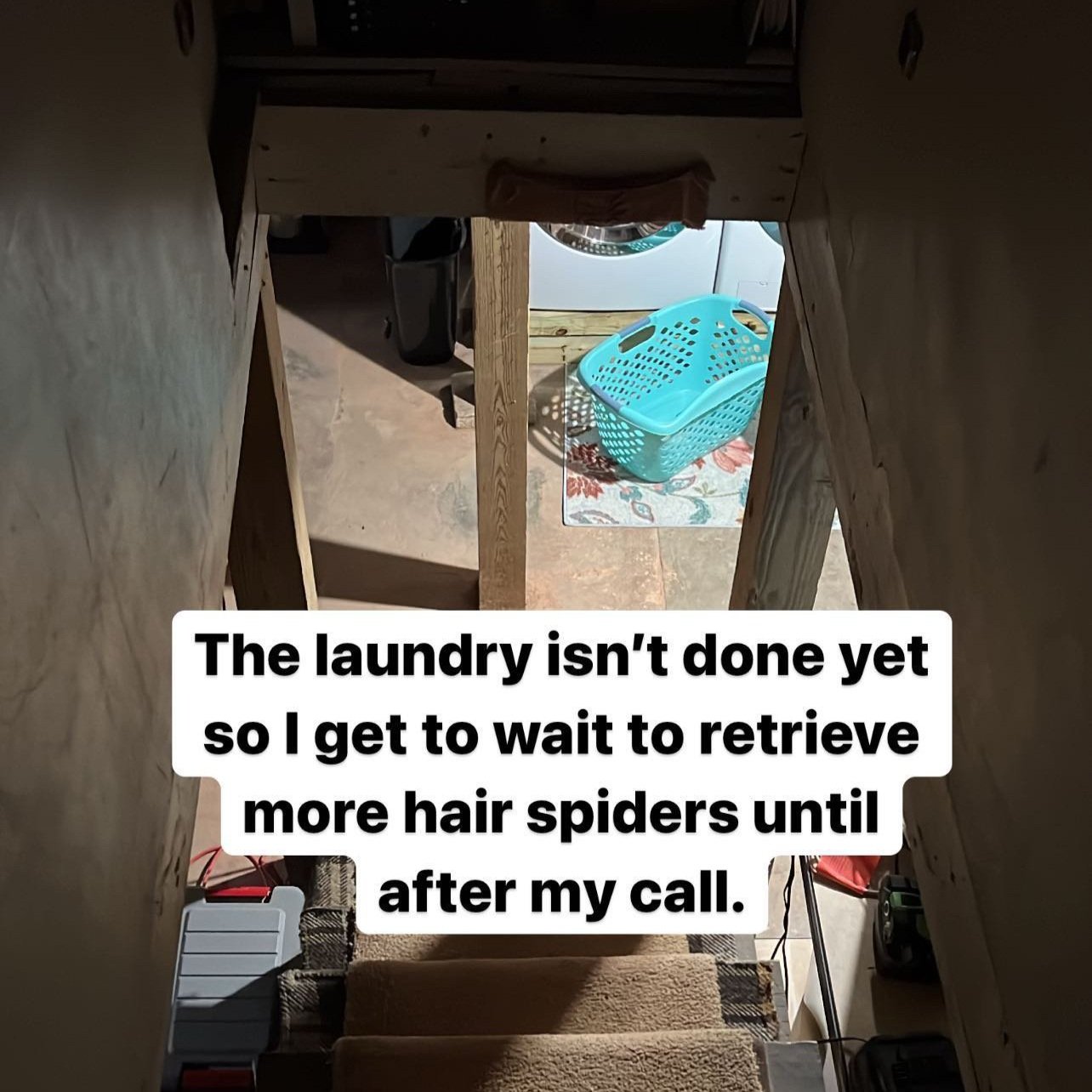 Basement, Laundry, Spiders